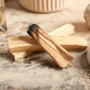 Palo Santo (Bursera Graveolens) du Pérou